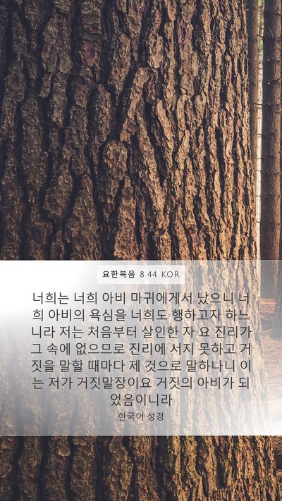 요한복음 8:44 KOR Bible Verse Image