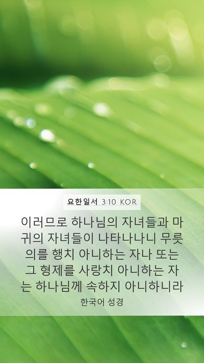 요한일서 3:10 KOR Bible Verse Image