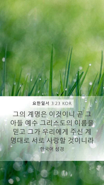 요한일서 3:23 KOR Bible Verse Image