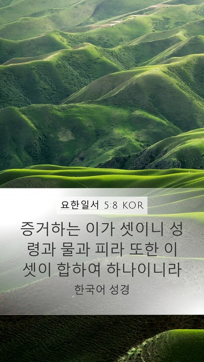 요한일서 5:8 KOR Bible Verse Image