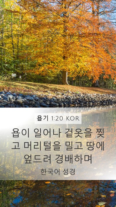 욥기 1:20 KOR Bible Verse Image