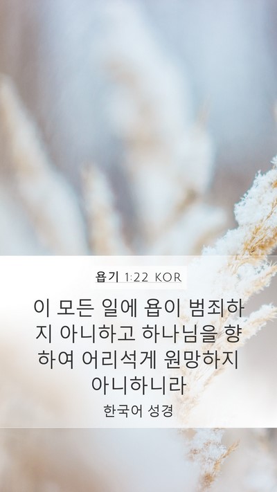 욥기 1:22 KOR Bible Verse Image