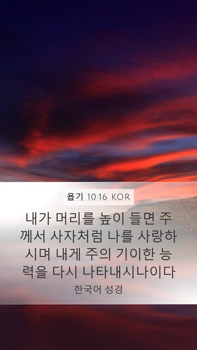 욥기 10:16 KOR Bible Verse Image