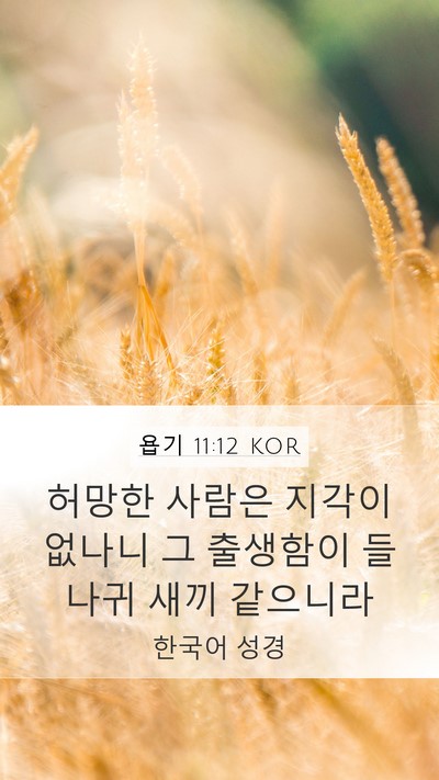 욥기 11:12 KOR Bible Verse Image