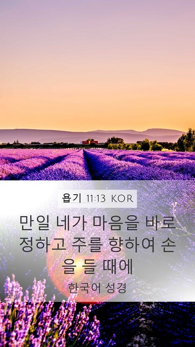 욥기 11:13 KOR Bible Verse Image