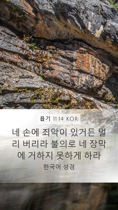 욥기 11:14 KOR Bible Verse Image
