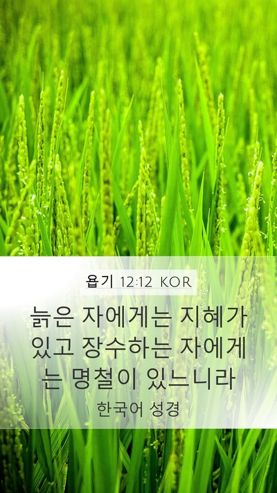 욥기 12:12 KOR Bible Verse Image