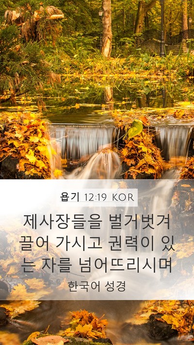 욥기 12:19 KOR Bible Verse Image