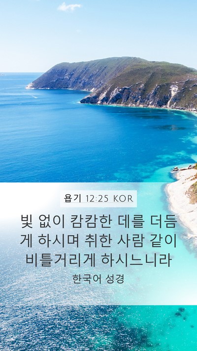 욥기 12:25 KOR Bible Verse Image
