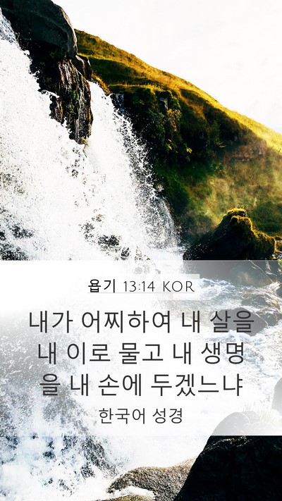 욥기 13:14 KOR Bible Verse Image