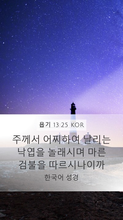 욥기 13:25 KOR Bible Verse Image