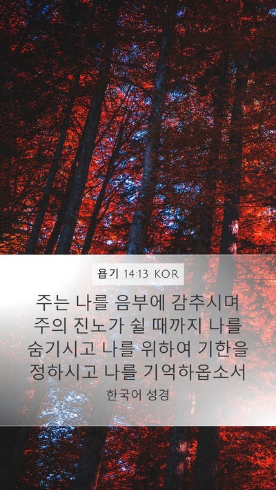 욥기 14:13 KOR Bible Verse Image