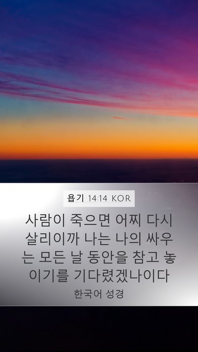 욥기 14:14 KOR Bible Verse Image