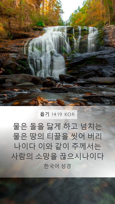 욥기 14:19 KOR Bible Verse Image