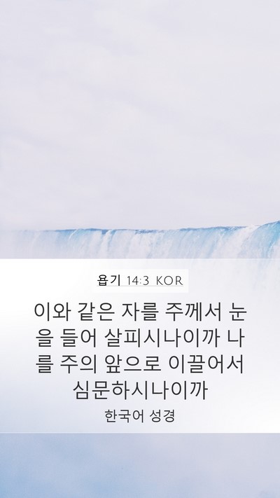 욥기 14:3 KOR Bible Verse Image