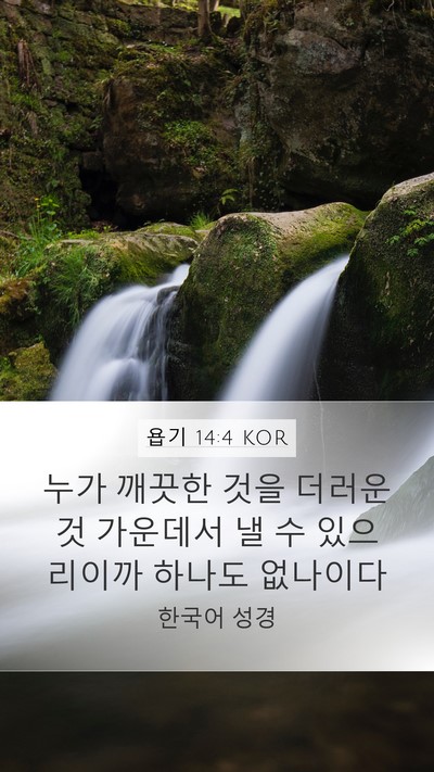 욥기 14:4 KOR Bible Verse Image