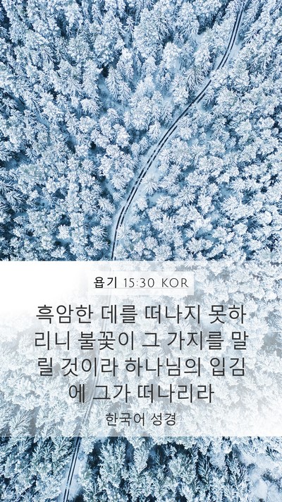 욥기 15:30 KOR Bible Verse Image