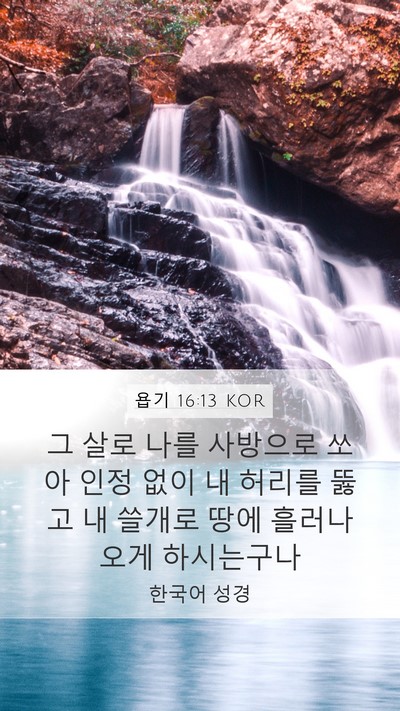 욥기 16:13 KOR Bible Verse Image