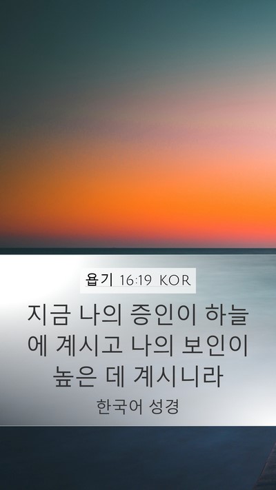 욥기 16:19 KOR Bible Verse Image