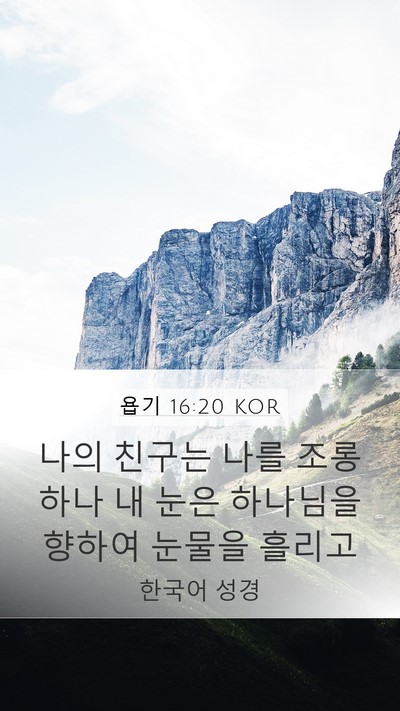 욥기 16:20 KOR Bible Verse Image