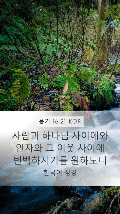 욥기 16:21 KOR Bible Verse Image