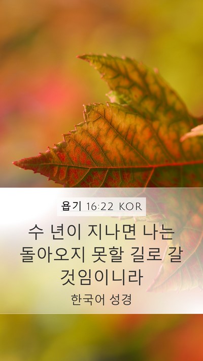 욥기 16:22 KOR Bible Verse Image