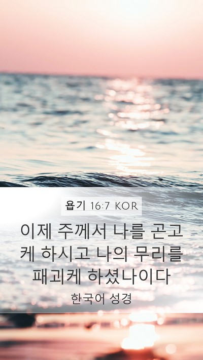 욥기 16:7 KOR Bible Verse Image
