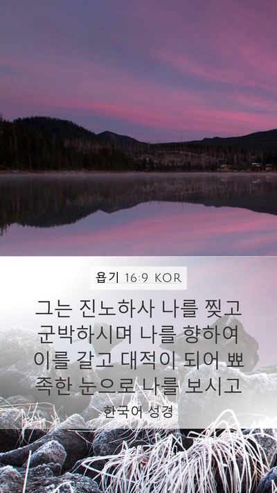 욥기 16:9 KOR Bible Verse Image