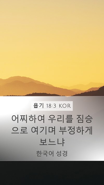욥기 18:3 KOR Bible Verse Image