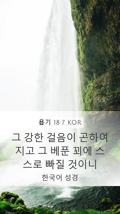 욥기 18:7 KOR Bible Verse Image