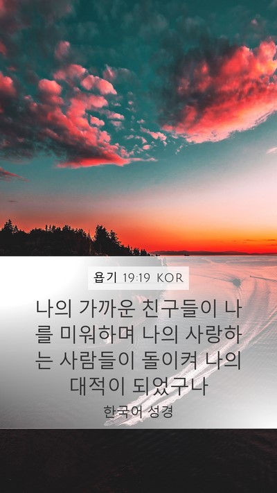 욥기 19:19 KOR Bible Verse Image