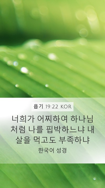 욥기 19:22 KOR Bible Verse Image