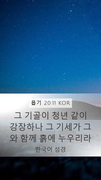 욥기 20:11 KOR Bible Verse Image