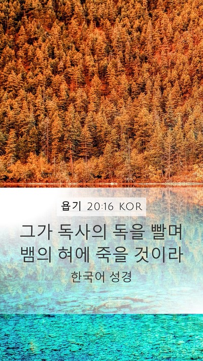 욥기 20:16 KOR Bible Verse Image