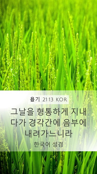 욥기 21:13 KOR Bible Verse Image
