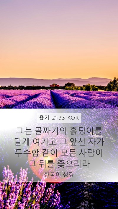 욥기 21:33 KOR Bible Verse Image