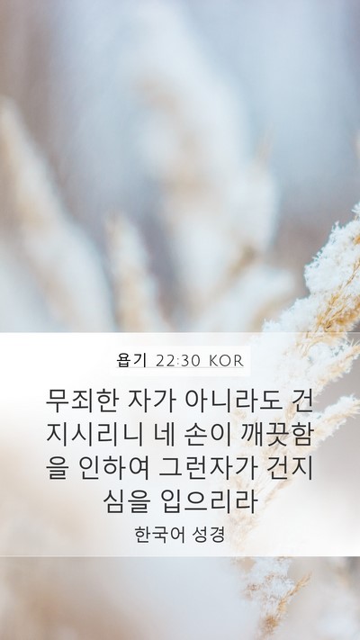욥기 22:30 KOR Bible Verse Image