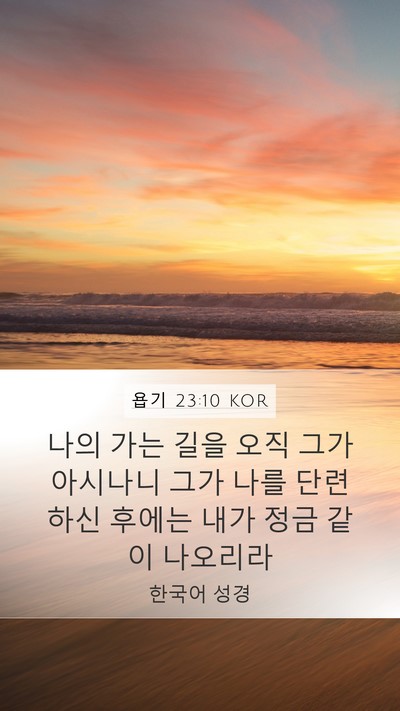 욥기 23:10 KOR Bible Verse Image