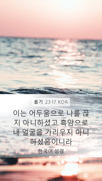 욥기 23:17 KOR Mobile Phone Wallpaper - 이는 어두움으로 나를 끊지 - Mobile Bible Verse Wallpaper