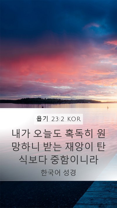 욥기 23:2 KOR Bible Verse Image
