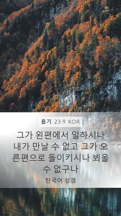 욥기 23:9 KOR Bible Verse Image