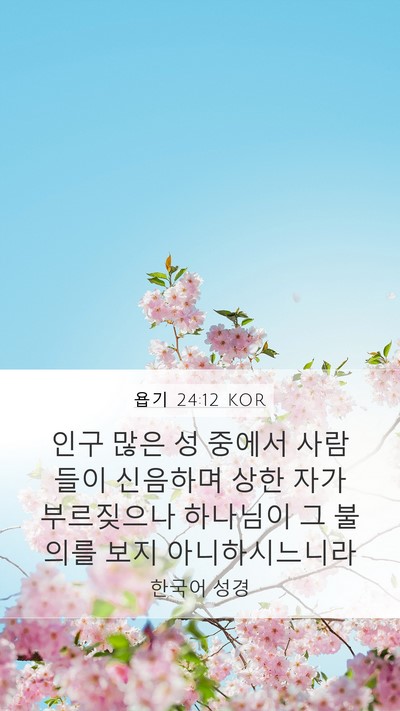 욥기 24:12 KOR Bible Verse Image