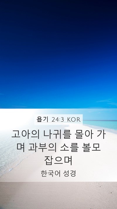 욥기 24:3 KOR Bible Verse Image