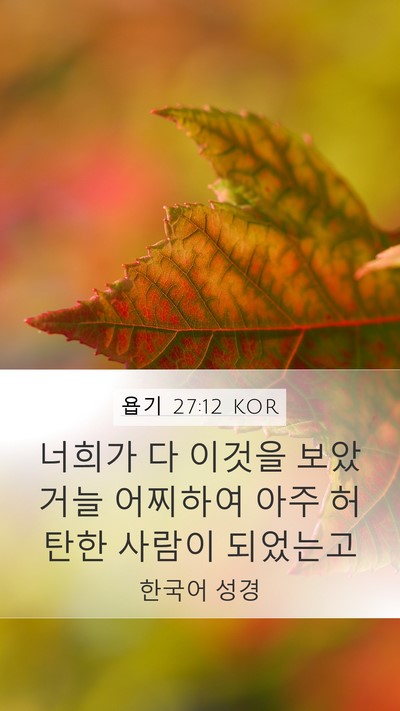 욥기 27:12 KOR Mobile Phone Wallpaper - 너희가 다 이것을 보았거늘 어찌하여 - Mobile Bible Verse Wallpaper