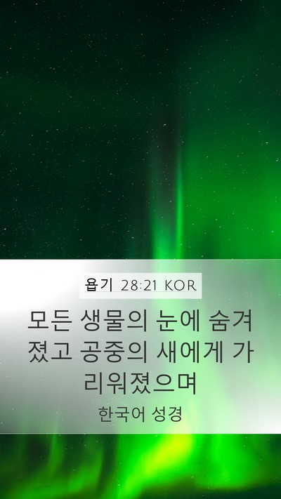 욥기 28:21 KOR Bible Verse Image