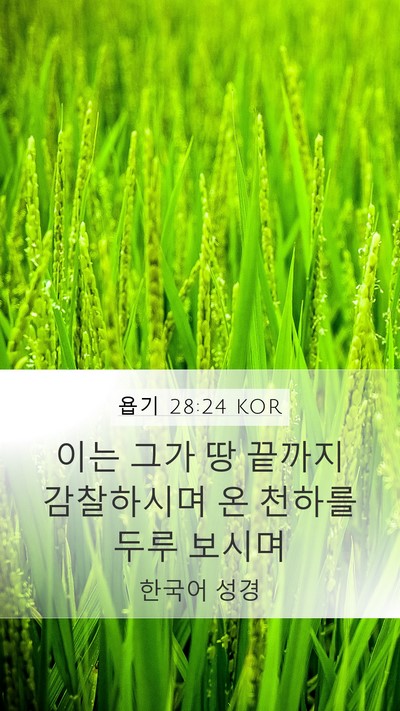 욥기 28:24 KOR Bible Verse Image