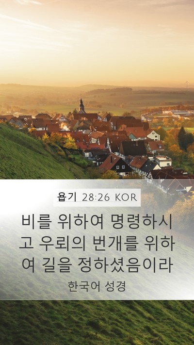 욥기 28:26 KOR Bible Verse Image