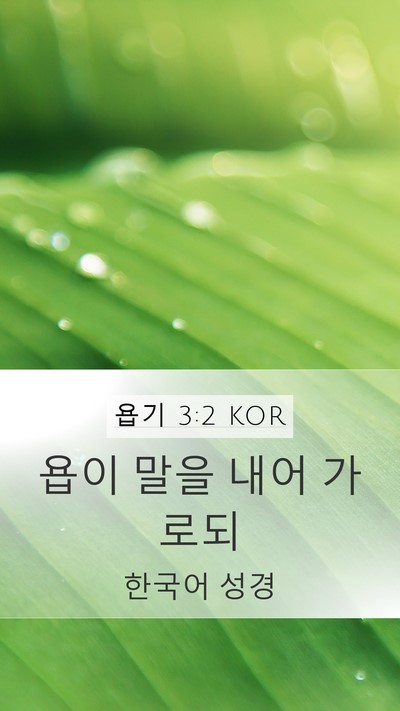 욥기 3:2 KOR Mobile Phone Wallpaper - 욥이 말을 내어 - Mobile Bible Verse Wallpaper