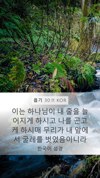 욥기 30:11 KOR Mobile Phone Wallpaper - 이는 하나님이 내 줄을 늘어지게 - Mobile Bible Verse Wallpaper