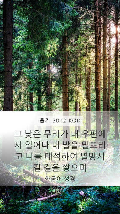 욥기 30:12 KOR Bible Verse Image
